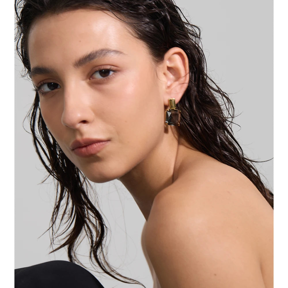 Romy Crystal Drop Earrings